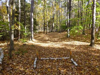 Forest Glen image
